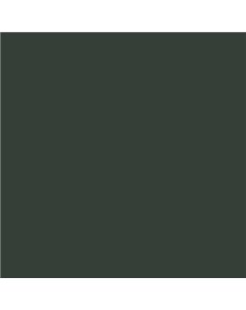 ESMALTE SINTETICO JUNOMALTE SATINADO (OFERTA) COLOR S 8005-G20Y