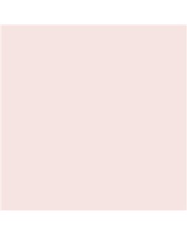 ESMALTE SINTETICO JUNOPLUS BRILLO (OFERTA) COLOR S 0507-R
