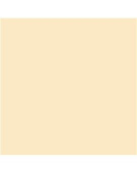 ESMALTE SINTETICO JUNOPLUS BRILLO (OFERTA) COLOR S 0510-Y20R
