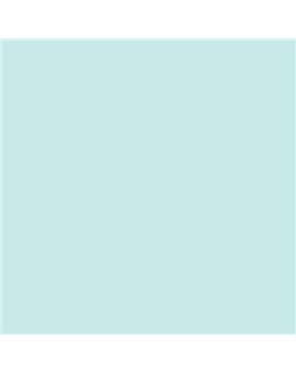 ESMALTE SINTETICO JUNOPLUS BRILLO (OFERTA) COLOR S 0515-B50G