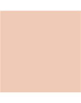 ESMALTE SINTETICO JUNOPLUS BRILLO (OFERTA) COLOR S 1015-Y60R