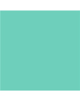 ESMALTE SINTETICO JUNOPLUS BRILLO (OFERTA) COLOR S 1040-B80G