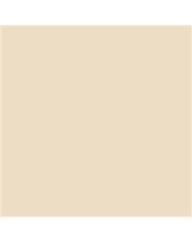 ESMALTE SINTETICO JUNOPLUS SATINADO (OFERTA) COLOR S 0907-Y30R