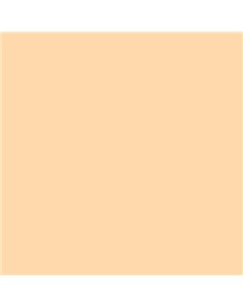 ESMALTE SINTETICO JUNOPLUS MATE (OFERTA) COLOR S 0520-Y30R
