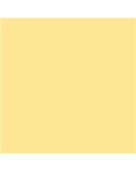ESMALTE SINTETICO JUNOPLUS MATE (OFERTA) COLOR S 0530-Y