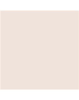 ESMALTE SINTETICO JUNOPLUS MATE (OFERTA) COLOR S 0804-Y70R