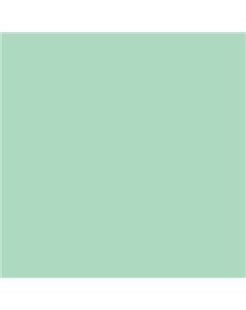 ESMALTE SINTETICO JUNOPLUS MATE (OFERTA) COLOR S 1020-G