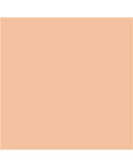 ESMALTE SINTETICO JUNOPLUS MATE (OFERTA) COLOR S 1020-Y50R