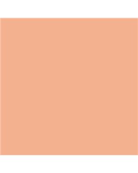 ESMALTE SINTETICO JUNOPLUS MATE (OFERTA) COLOR S 1030-Y60R