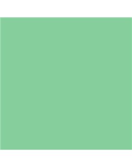 ESMALTE SINTETICO JUNOPLUS MATE (OFERTA) COLOR S 1040-G10Y