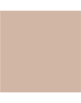 ESMALTE SINTETICO JUNOPLUS MATE (OFERTA) COLOR S 2010-Y60R