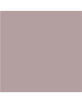 ESMALTE SINTETICO JUNOPLUS MATE (OFERTA) COLOR S 3010-R10B