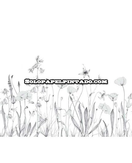 Mural WONDERWALLS 2 Ref. M-WDWD-200169107.