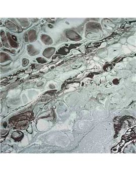Papel Pintado FUSIONE Ref. 73526.