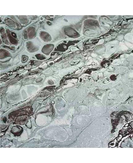 Papel Pintado FUSIONE Ref. 73526.