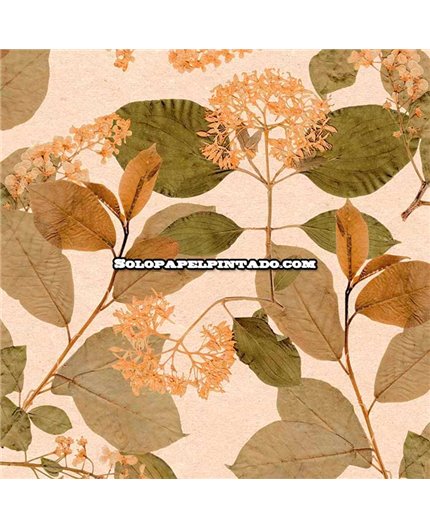 Papel Pintado HERBARIUM Ref. 1173-5753.