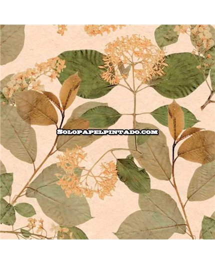 Papel Pintado HERBARIUM Ref. 1173-5757.
