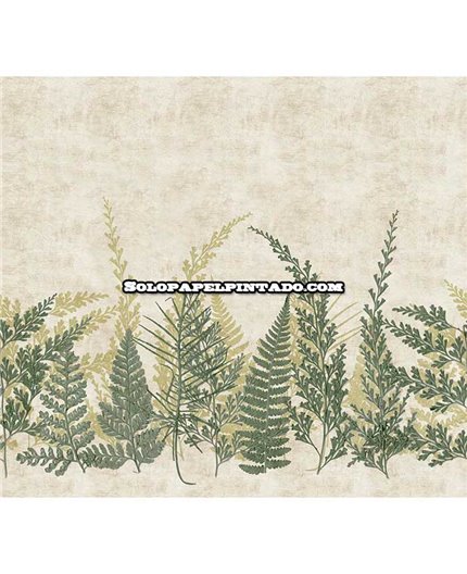 Mural HERBARIUM Ref. M-1173-HED27293.