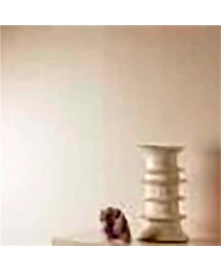 Papel Pintado BELICE SAINT HONORE Ref. 1143-5564.