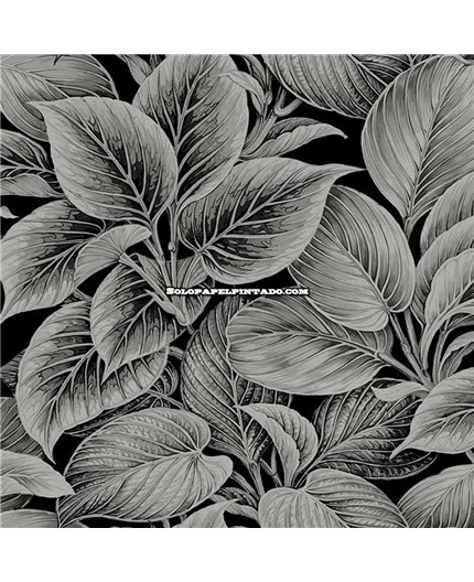 Papel Pintado SHADES OF WHITE Ref. WS70300.