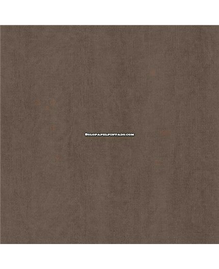 Papel Pintado FEATURE WALLS Ref. FW1040.