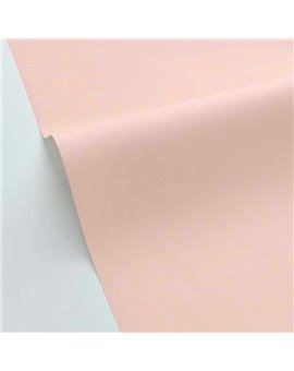 Papel Pintado LIGHT Ref. LIG100601212.
