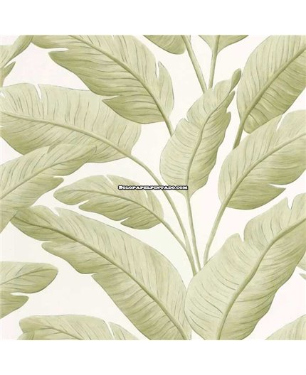 Papel Pintado BORNEO CASELIO Ref. BORN106547003.