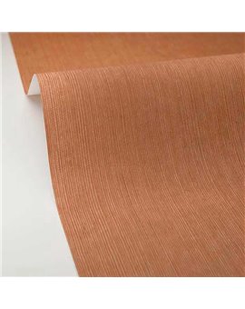 Papel Pintado BORNEO CASELIO Ref. BORN106012367.