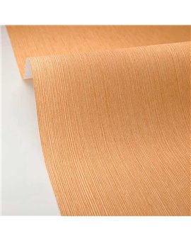 Papel Pintado BORNEO CASELIO Ref. BORN106011403.