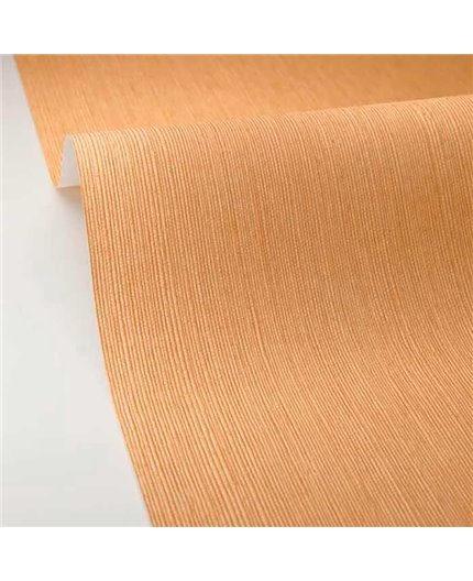 Papel Pintado BORNEO CASELIO Ref. BORN106011403.