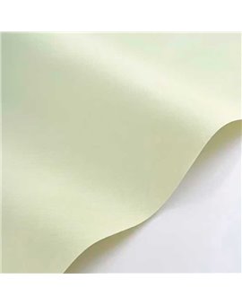 Papel Pintado NEST Ref. NEST201007007.