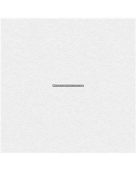 Papel Pintado MEISTERVLIES Ref. MV1031.