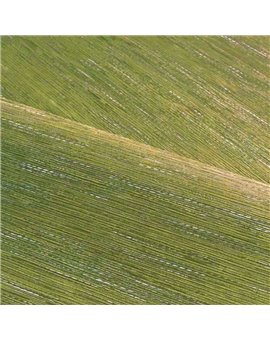 Papel Pintado LE JACQUARD Ref. C75346018.