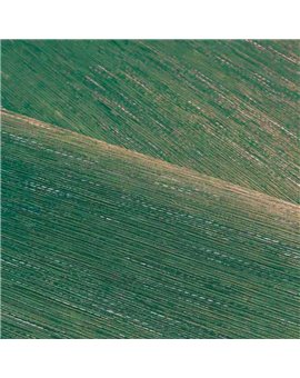 Papel Pintado LE JACQUARD Ref. C75346120.