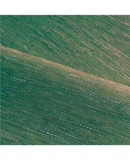 Papel Pintado LE JACQUARD Ref. C75346120.