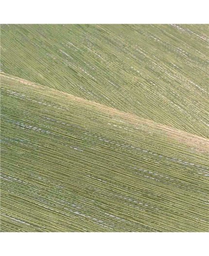 Papel Pintado LE JACQUARD Ref. C75345100.