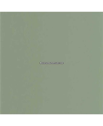 Papel Pintado MOULURES & CO Ref. MOCO200336303.