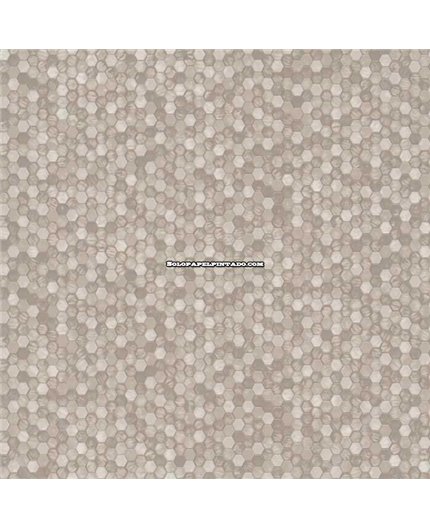 Papel Pintado ETNIC Ref. TN5816.