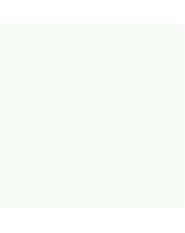 PINTURA PLASTICA MATE JUNORAL B5 GAMA ALTA (OFERTA)  COLOR RAL 9016