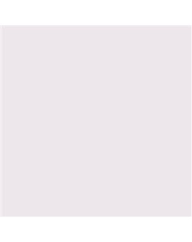 PINTURA PLASTICA MATE JUNORAL B5 GAMA ALTA (OFERTA)  COLOR S 0505-R40B