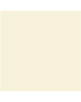 PINTURA PLASTICA MATE JUNORAL B5 GAMA ALTA (OFERTA)  COLOR S 0505-Y