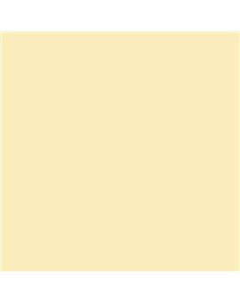 PINTURA PLASTICA MATE JUNORAL B5 GAMA ALTA (OFERTA)  COLOR S 0515-Y