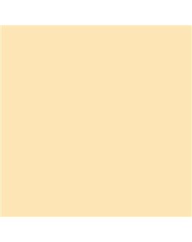 PINTURA PLASTICA MATE JUNORAL B5 GAMA ALTA (OFERTA)  COLOR S 0515-Y20R