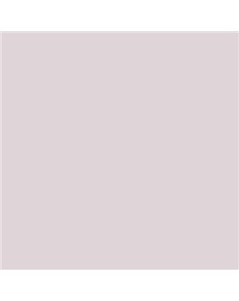 PINTURA PLASTICA MATE JUNORAL B5 GAMA ALTA (OFERTA)  COLOR S 1005-R20B