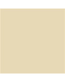 PINTURA PLASTICA MATE JUNORAL B5 GAMA ALTA (OFERTA)  COLOR S 1010-Y10R