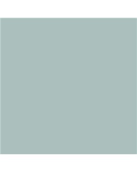 PINTURA PLASTICA MATE JUNORAL B5 GAMA ALTA (OFERTA)  COLOR S 2010-B70G
