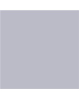 PINTURA PLASTICA MATE JUNORAL B5 GAMA ALTA (OFERTA)  COLOR S 2010-R60B