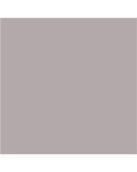 PINTURA PLASTICA MATE JUNORAL B5 GAMA ALTA (OFERTA)  COLOR S 3005-R20B