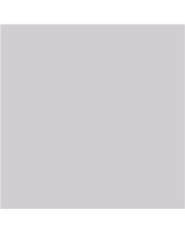 PINTURA PLASTICA MATE JUNORAL B5 GAMA ALTA (OFERTA)  COLOR SV 051
