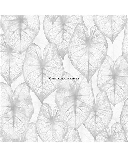 Papel Pintado AMAZONIA II Ref. 2936.